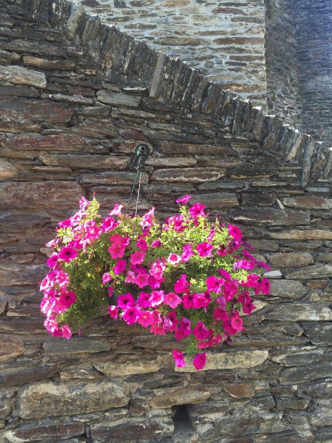 Les Volets Verts Miraval-Cabardes Exterior foto